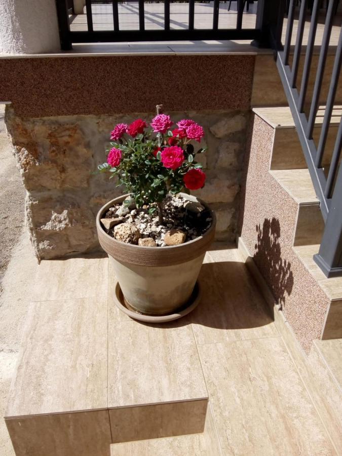 Apartment Plitvice スタリグラード エクステリア 写真
